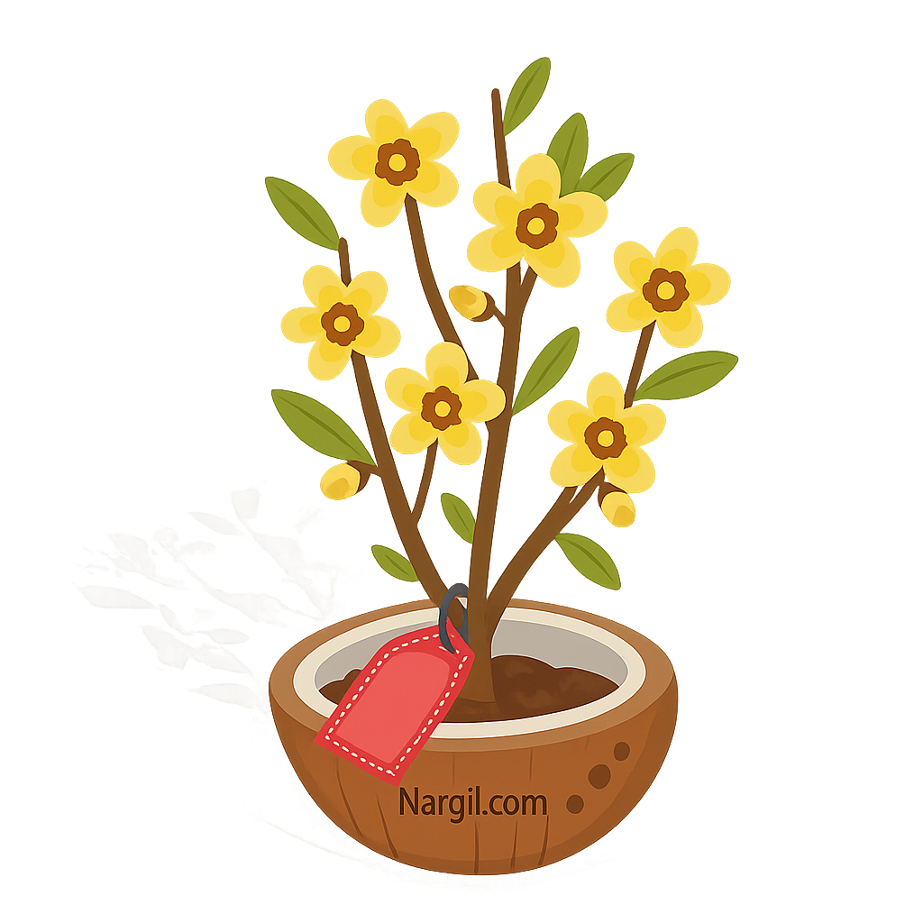  Nargil - Winter Sweet